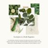imageThymes Hand Wash  15 Fl Oz  Washed LinenEucalyptus