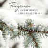 imageThymes Hand Wash  15 Fl Oz  Washed LinenFrasier Fir