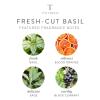 imageThymes Hand Wash  15 Fl Oz  Washed LinenFreshCut Basil