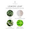 imageThymes Hand Wash  15 Fl Oz  Washed LinenLemon Leaf