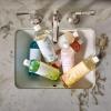 imageThymes Mandarin Coriander Hand Wash Refill  Scented Liquid Hand Soap  Nourishing and Lightly Scented Ideal for Daily Cleansing  Warm ampamp Fresh Mandarin Scent  Liquid Hand Soap  245 Fl OzOlive Leaf
