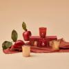 imageThymes Aromatic Votive Trio  Set of Three Votive Candles  Luxury Home Fragrance  Scented Candles with Notes of Freshly Pressed Apple Clove ampamp Cardamom  Red ampamp Rose Gold Simmered Cider 2 oz Each