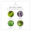 imageThymes Body Lotion  925 Fl Oz  LavenderOlive Leaf
