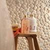 imageThymes Body Lotion  925 Fl Oz  LavenderSienna Sage