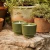 imageThymes Citronella Grove Candles Set of 2  Outdoor Citronella Candles for Patio with Scent Notes of Olive Leaf ampamp Lemongrass  Backyard Essentials  Decorative Outdoor Decor 45 oz x 2