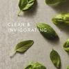 imageThymes Countertop Spray  Counter Cleaner Spray  Household Cleaning Supplies Lemon Leaf 165 fl ozFreshCut Basil