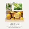 imageThymes Countertop Spray  Counter Cleaner Spray  Household Cleaning Supplies Lemon Leaf 165 fl ozLemon Leaf