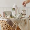 imageThymes Frasier Fir Laundry Fragrance Oil for Dryer  Scented Laundry Supplies 05 fl oz