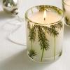 imageThymes Frasier Fir Pine Needle Candle  Holiday Candles for Home Scented with Notes of Crisp Siberian Fir Cedarwood ampamp Sandalwood  Christmas Decor  Christmas Gifts for Women ampamp Men 2 oz65 oz