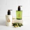 imageThymes Frasier Fir Sink Set  Hand Soap and Lotion in Pump Bottles with Sink Caddy  Holiday Gift Set  825 fl oz