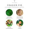 imageThymes Frasier Fir Statement Candle and Diffuser Gift Set  Holiday Home Decor  Notes of Siberian Fir Cedarwood and Sandalwood  Silver 4 fl oz Petite Diffuser  5 oz Candle40 oz