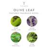 imageThymes Hand Cream Gold  3 Fl Oz  GoldleafOlive Leaf