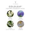 imageThymes Hand Lotion  825 Fl Oz  Frasier FirGoldleaf