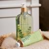 imageThymes Moisturizing Body Wash with Pump  Body Soap  Bath Products  Skin Care  Liquid Soap with Notes of Sardinian Laurel Leaf Lavender Flowers Patchouli ampamp Balsam Olive Leaf 925 fl ozEucalyptus