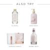 imageThymes Simmered Cider Fragrance Mist  Scented Room Spray for Home Fragrance  Notes of Apple ampamp Cardamom  Bedroom ampamp Bathroom Air Freshener  Simmered Cider  3 ozGoldleaf Gardenia