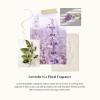 imageThymes Simmered Cider Fragrance Mist  Scented Room Spray for Home Fragrance  Notes of Apple ampamp Cardamom  Bedroom ampamp Bathroom Air Freshener  Simmered Cider  3 ozLavender