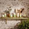 imageThymes Simmered Cider Fragrance Mist  Scented Room Spray for Home Fragrance  Notes of Apple ampamp Cardamom  Bedroom ampamp Bathroom Air Freshener  Simmered Cider  3 ozEucalyptus