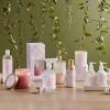 imageThymes Simmered Cider Fragrance Mist  Scented Room Spray for Home Fragrance  Notes of Apple ampamp Cardamom  Bedroom ampamp Bathroom Air Freshener  Simmered Cider  3 ozMagnolia Willow