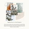 imageThymes Simmered Cider Fragrance Mist  Scented Room Spray for Home Fragrance  Notes of Apple ampamp Cardamom  Bedroom ampamp Bathroom Air Freshener  Simmered Cider  3 ozHighland Frost
