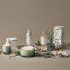 imageThymes Simmered Cider Fragrance Mist  Scented Room Spray for Home Fragrance  Notes of Apple ampamp Cardamom  Bedroom ampamp Bathroom Air Freshener  Simmered Cider  3 ozHighland Frost