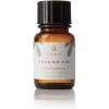 imageThymes Frasier Fir Fragrant Refresher Oil  Aromatherapy Oil  Long Lasting Scent 1 fl oz