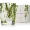 imageThymes Frasier Fir Pine Needle Candle  Holiday Candles for Home Scented with Notes of Crisp Siberian Fir Cedarwood ampamp Sandalwood  Christmas Decor  Christmas Gifts for Women ampamp Men 2 oz2 oz