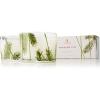 imageThymes Frasier Fir Pine Needle Candle Set  Scented Candles with Notes of Crisp Siberian Fir Cedarwood and Sandalwood  Seasonal Home Decor  Luxury Home Fragrance Set of 2 375 oz Each