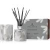 imageThymes Frasier Fir Statement Candle and Diffuser Gift Set  Holiday Home Decor  Notes of Siberian Fir Cedarwood and Sandalwood  Silver 4 fl oz Petite Diffuser  5 oz CandleGift Set