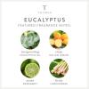 imageThymes Aqua Coralline Pura Smart Home Plugin Diffuser Refills  Pack of 2Eucalyptus
