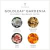 imageThymes Aqua Coralline Pura Smart Home Plugin Diffuser Refills  Pack of 2Goldleaf Gardenia