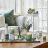 imageThymes Aqua Coralline Pura Smart Home Plugin Diffuser Refills  Pack of 2Highland Frost
