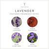 imageThymes Aqua Coralline Pura Smart Home Plugin Diffuser Refills  Pack of 2Lavender
