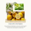 imageThymes Aqua Coralline Pura Smart Home Plugin Diffuser Refills  Pack of 2Lemon Leaf