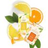imageThymes Aqua Coralline Pura Smart Home Plugin Diffuser Refills  Pack of 2Lemon Leaf