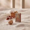 imageThymes Aqua Coralline Pura Smart Home Plugin Diffuser Refills  Pack of 2Pumpkin Laurel