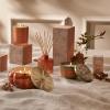 imageThymes Aqua Coralline Pura Smart Home Plugin Diffuser Refills  Pack of 2Pumpkin Laurel