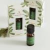imageThymes Electric Oil Diffuser Refill  Home Fragrance Oil Refill for Plug in Air Fresheners for Home  Use for Electric Scent Diffuser  Long Lasting Scent Simmered Cider 025 fl ozFrasier Fir