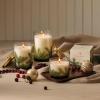 imageThymes Frasier Fir Candle  Heritage Pine Needle Luminary Scented Candles  Elegant Pine Candle  Crisp Siberian Fir Cedarwood ampamp Sandalwood  Holiday Candles  Christmas Decor Large 16 oz115 oz