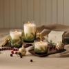imageThymes Frasier Fir Candle  Heritage Pine Needle Luminary Scented Candles  Elegant Pine Candle  Crisp Siberian Fir Cedarwood ampamp Sandalwood  Holiday Candles  Christmas Decor Large 16 oz75 oz