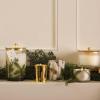 imageThymes Frasier Fir Candle  Heritage Pine Needle Luminary Scented Candles  Elegant Pine Candle  Crisp Siberian Fir Cedarwood ampamp Sandalwood  Holiday Candles  Christmas Decor Large 16 oz115 oz