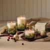 imageThymes Frasier Fir Candle  Heritage Pine Needle Luminary Scented Candles  Elegant Pine Candle  Crisp Siberian Fir Cedarwood ampamp Sandalwood  Holiday Candles  Christmas Decor Large 16 oz16 oz