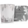 imageThymes Frasier Fir Candle  Pine Needle Design  Holiday Scented Candle  Notes of Crisp Siberian Fir Cedarwood ampamp Sandalwood  Luxury Home Fragrance Gifts for Women ampamp Men  Silver Statement 2 ozSilver