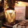 imageThymes Frasier Fir Candle  Pine Needle Design  Holiday Scented Candle  Notes of Crisp Siberian Fir Cedarwood ampamp Sandalwood  Luxury Home Fragrance Gifts for Women ampamp Men  Silver Statement 2 ozGold