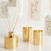 imageThymes Frasier Fir Reed Diffuser Set  Includes Reeds Fragrance Oil and Frosted Glass Bottle  Fragrance Oil Diffuser  Room Fresheners  Luxury Home Decor  Green ampamp Clear Pine Needle 4 fl ozGold