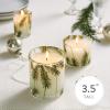 imageThymes Frasier Fir Reed Diffuser Set  Includes Reeds Fragrance Oil and Frosted Glass Bottle  Fragrance Oil Diffuser  Room Fresheners  Luxury Home Decor  Green ampamp Clear Pine Needle 4 fl ozGreen Glass