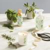 imageThymes Lemon Leaf Candle  8 Oz  Scented Candle for a Fresh Home Fragrance  Aromatherapy Candle in Glass Jar  Matte White JarFreshCut Basil