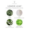 imageThymes Moisturizing Hand Lotion for Dry Skin  Moisturizer for Beauty and Personal Care  Luxury Hand Lotion for Women ampamp Men with Shea Butter ampamp Vitamin E Lemon Leaf 9 fl ozLemon Leaf