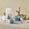 imageThymes Petite Reed Diffuser Set  Includes Rattan Wood Sticks Fragrance Oil ampamp Glass Bottle  Home Fragrance Oil Diffuser  Luxury Home Decor  Guest Bathroom Essentials Washed Linen 4 fl ozCyprus Sea Salt