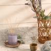 imageThymes Petite Reed Diffuser Set  Includes Rattan Wood Sticks Fragrance Oil ampamp Glass Bottle  Home Fragrance Oil Diffuser  Luxury Home Decor  Guest Bathroom Essentials Washed Linen 4 fl ozLavender