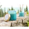 imageThymes Petite Reed Diffuser Set  Includes Rattan Wood Sticks Fragrance Oil ampamp Glass Bottle  Home Fragrance Oil Diffuser  Luxury Home Decor  Guest Bathroom Essentials Washed Linen 4 fl ozCyprus Sea Salt